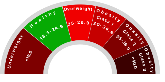 bmi meter